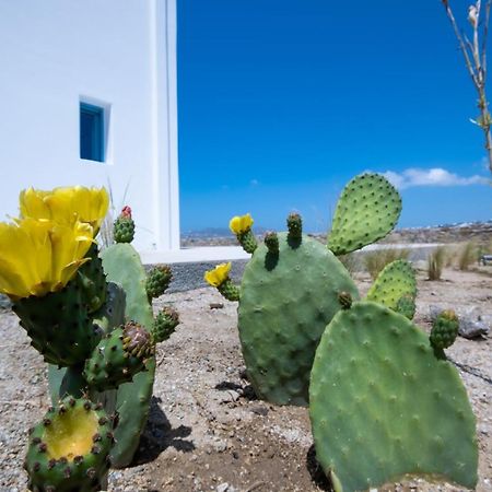 Lilly Villa By Bestofmikonos Ornos  Exterior photo