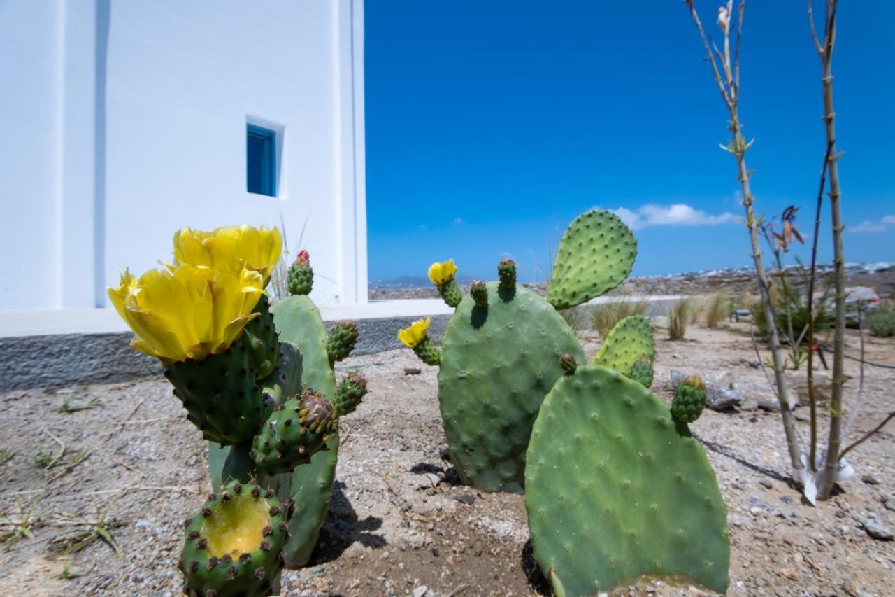 Lilly Villa By Bestofmikonos Ornos  Exterior photo